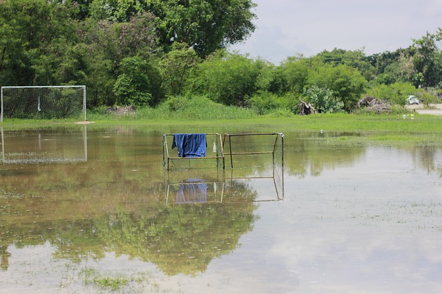 虽然未能帮 虽然未能帮