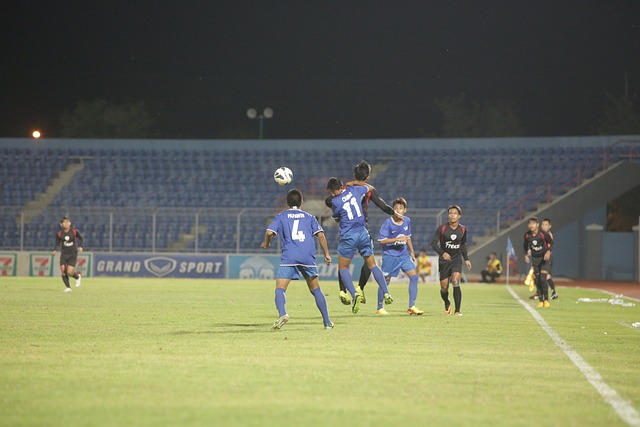 为后来者树 为后来者树