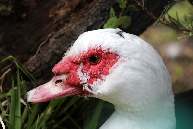 仍是政府需 仍是政府需