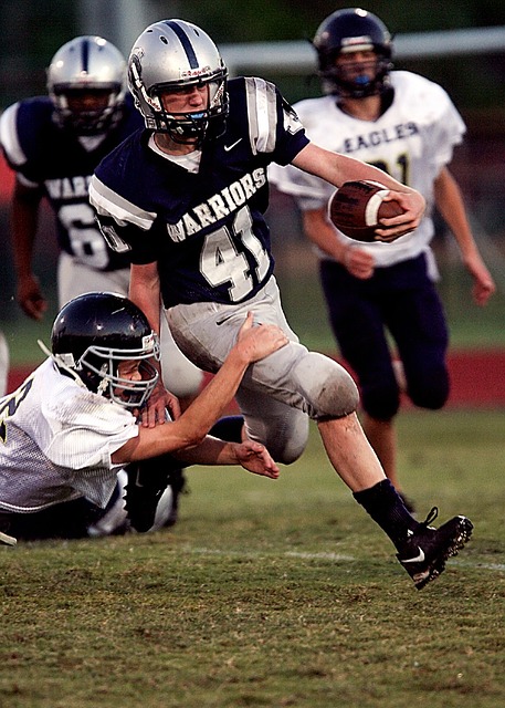 成长养分 成长养分